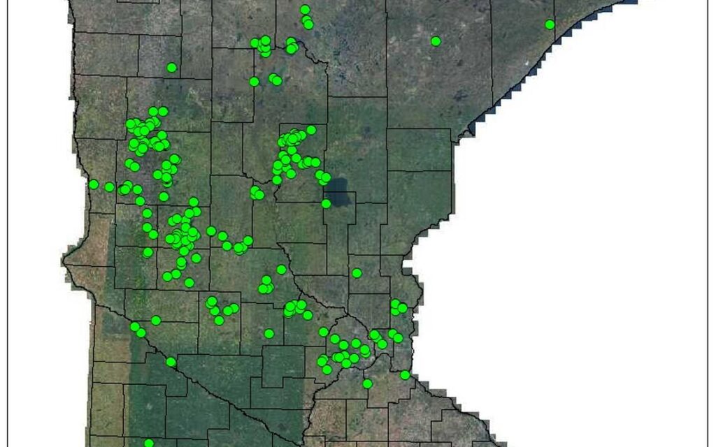 This Minnesota Department of Natural Resources map shows the approximate number of lakes infested with zebra mussels as of 2019. Special to The Forum.